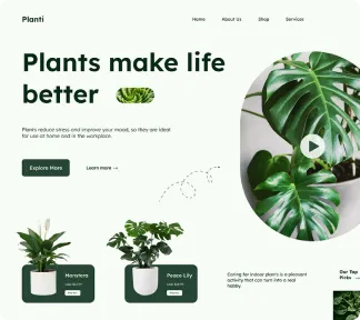 plants